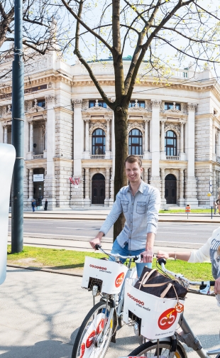 Citybike Wien-1