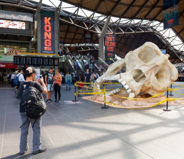 JCDecaux Kong Skull Island domination